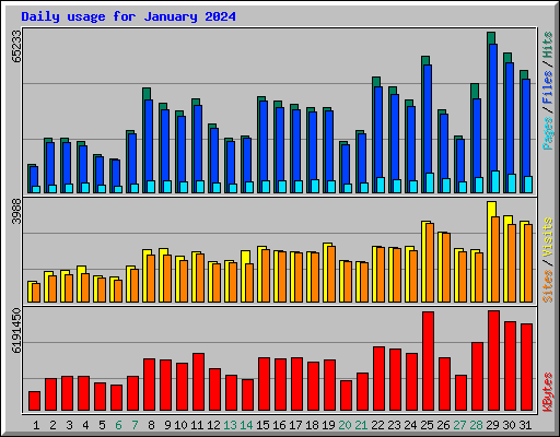 Daily usage for January 2024