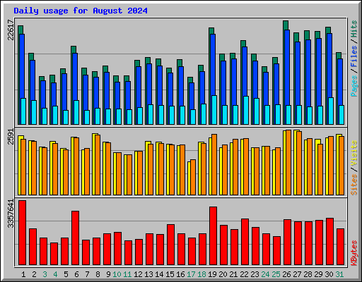 Daily usage for August 2024