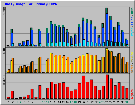 Daily usage for January 2026