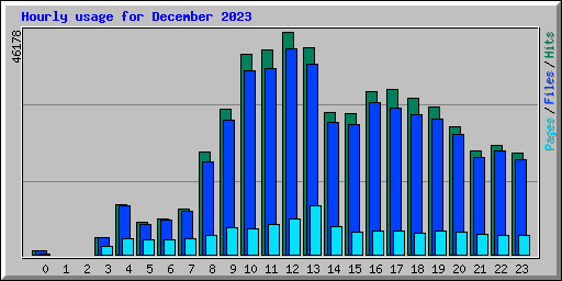 Hourly usage for December 2023