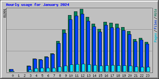 Hourly usage for January 2024