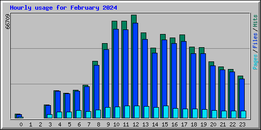 Hourly usage for February 2024