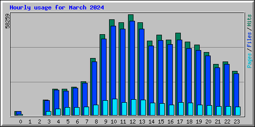 Hourly usage for March 2024