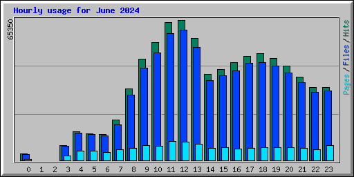 Hourly usage for June 2024