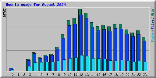 Hourly usage for August 2024