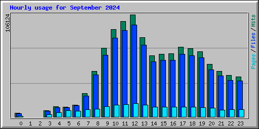 Hourly usage for September 2024