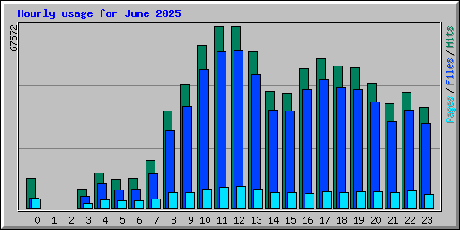 Hourly usage for June 2025