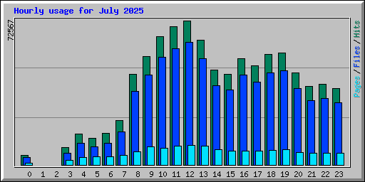 Hourly usage for July 2025