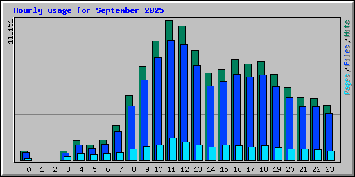 Hourly usage for September 2025