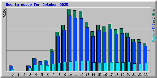 Hourly usage for October 2025