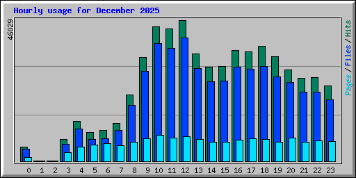 Hourly usage for December 2025