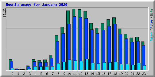 Hourly usage for January 2026