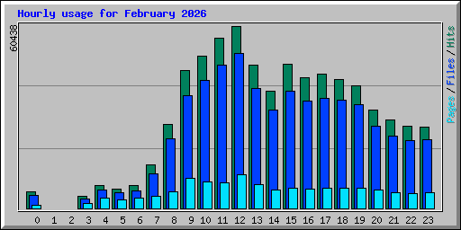 Hourly usage for February 2026