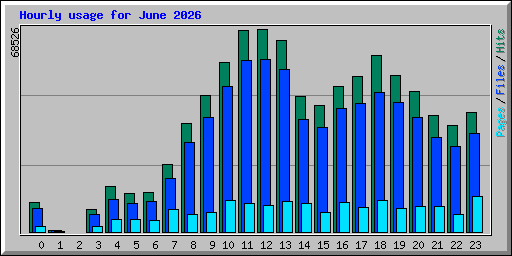 Hourly usage for June 2026